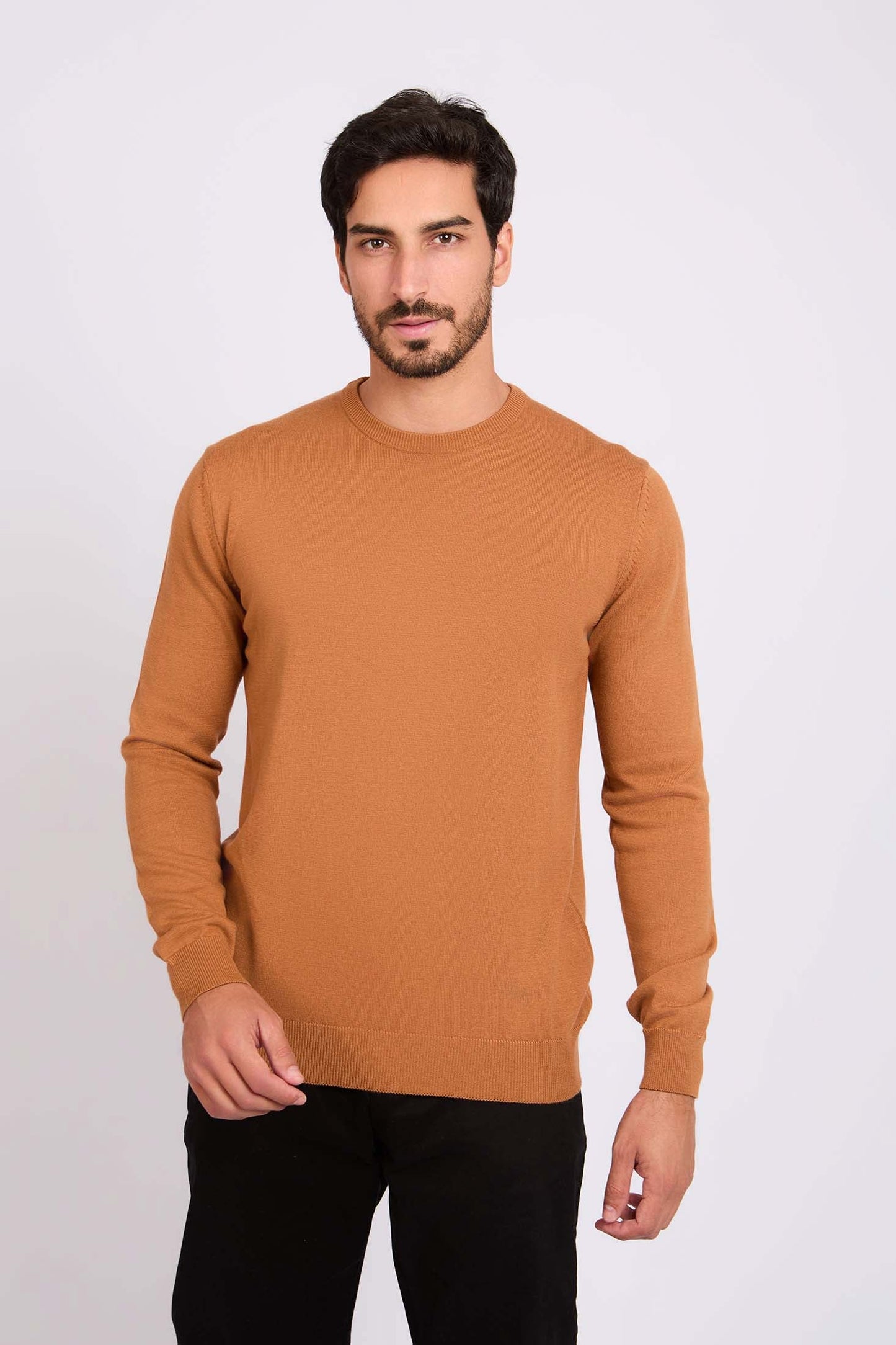 Long Sleeves Solid Basic Pullover