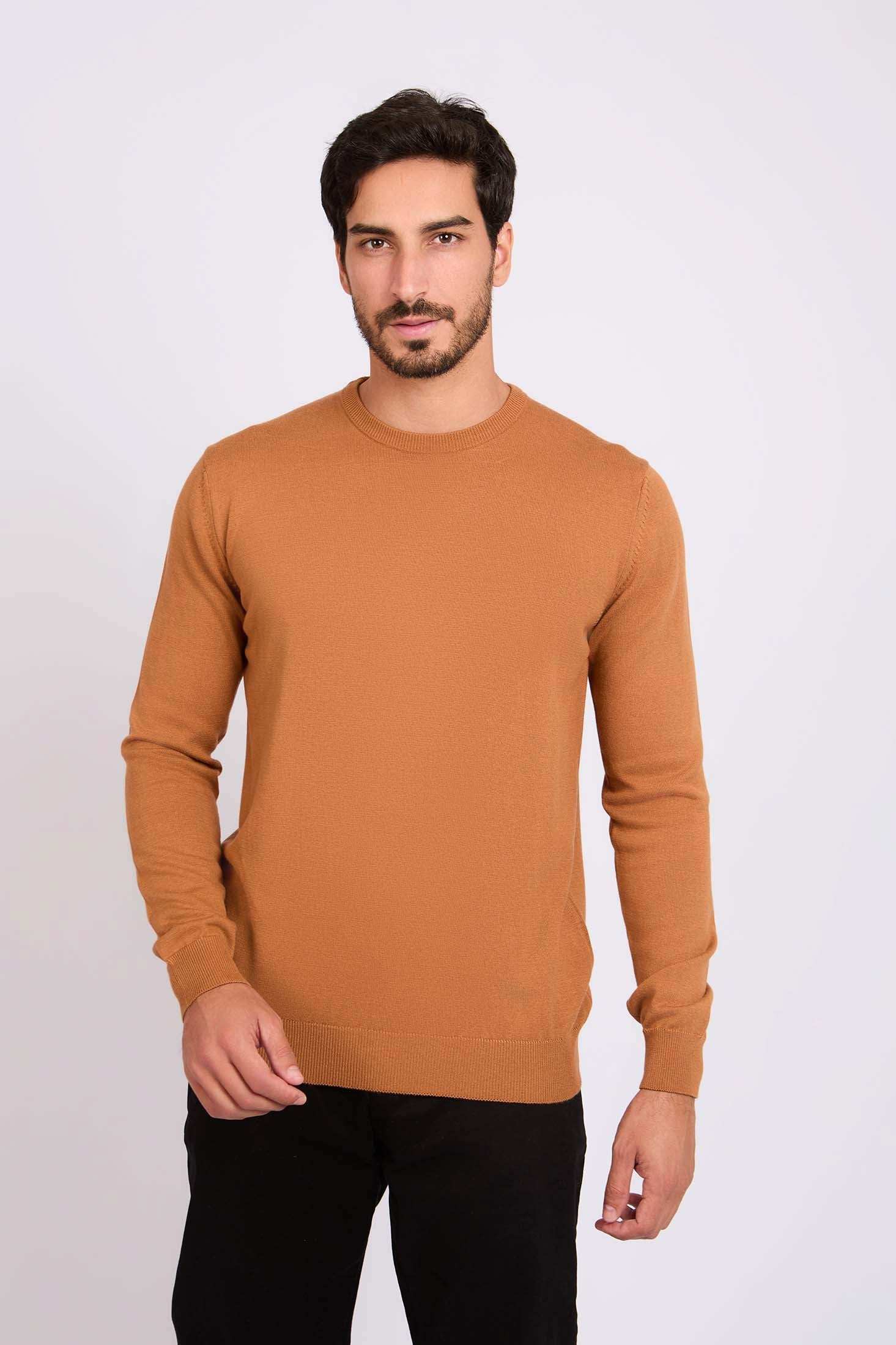 Long Sleeves Solid Basic Pullover