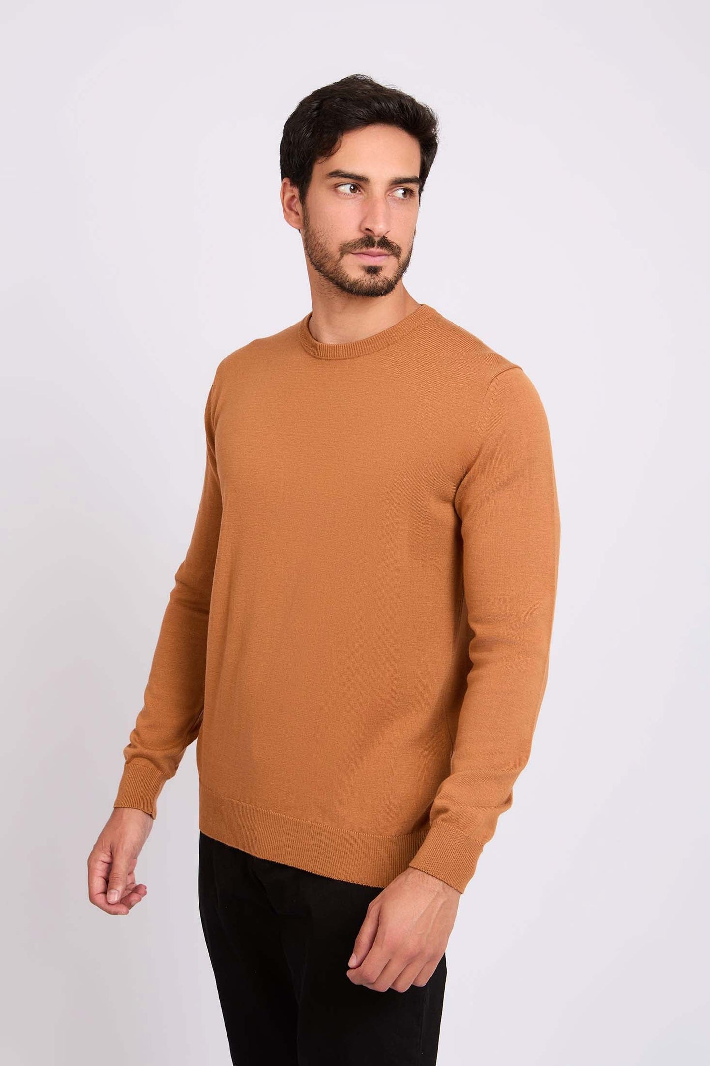 Long Sleeves Solid Basic Pullover