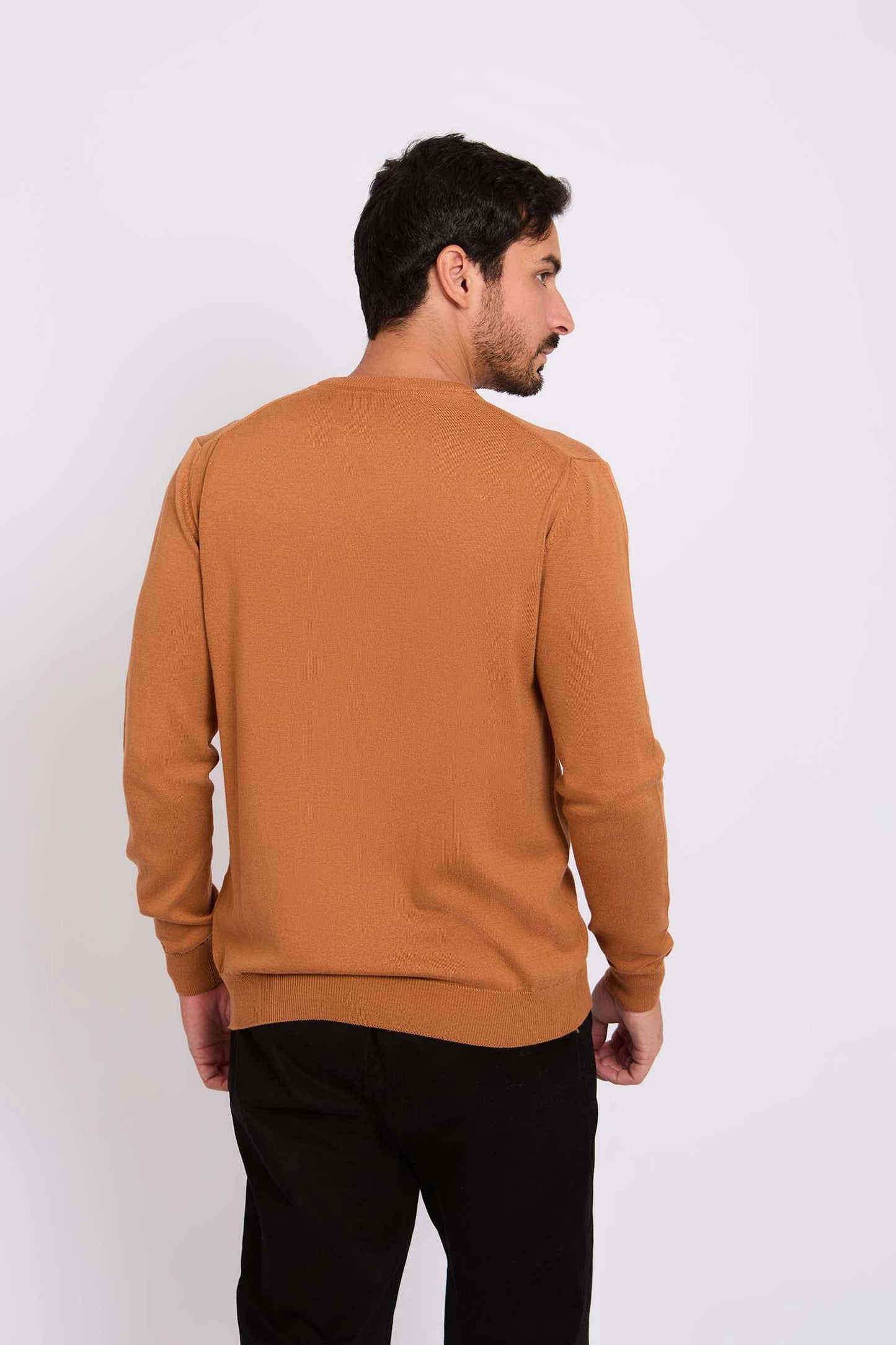 Long Sleeves Solid Basic Pullover