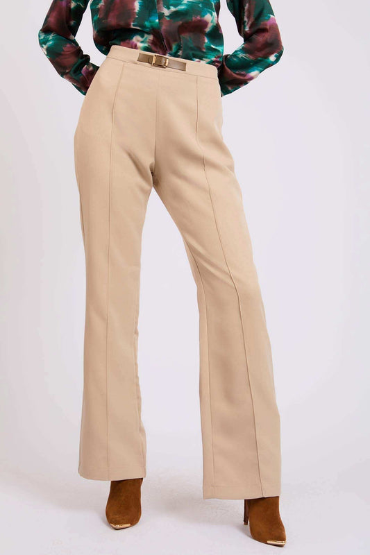 Women Regular Fit Pants Brown