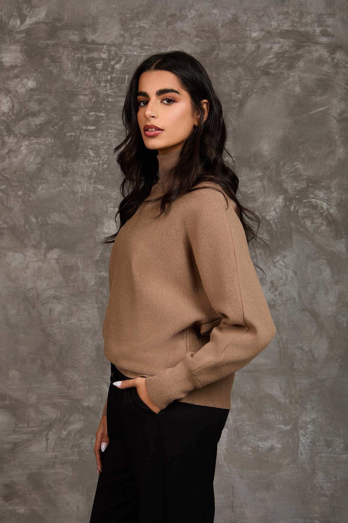 Women Regular Fit Pullover Brown