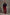 Women Regular Fit Pullover Navy Dark Blue