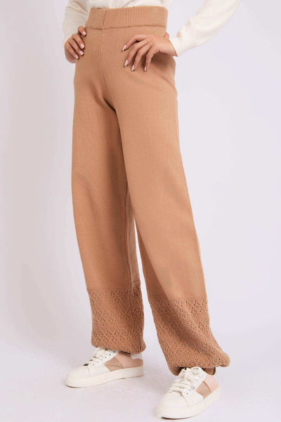 Women Regular Fit Pant - Brown