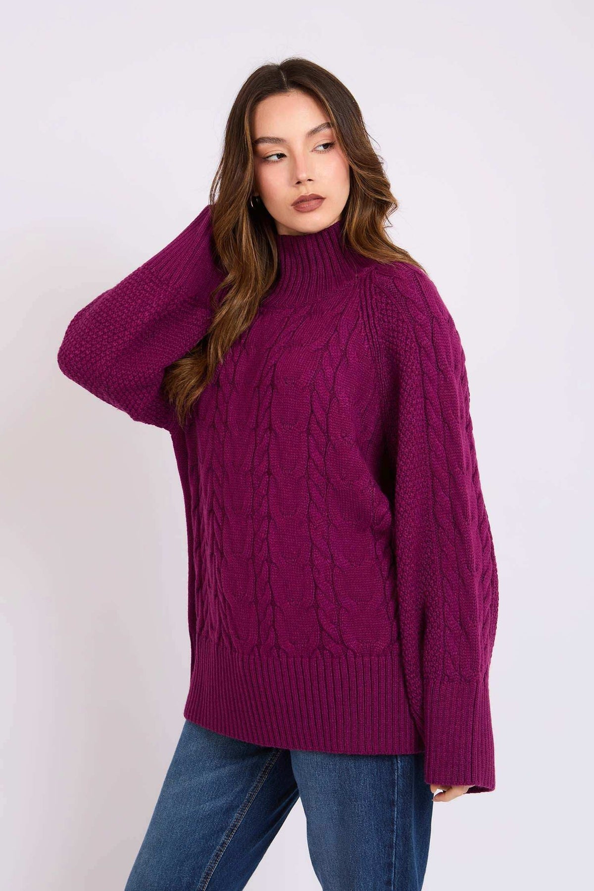 Women Regular Fit Pullover Pink