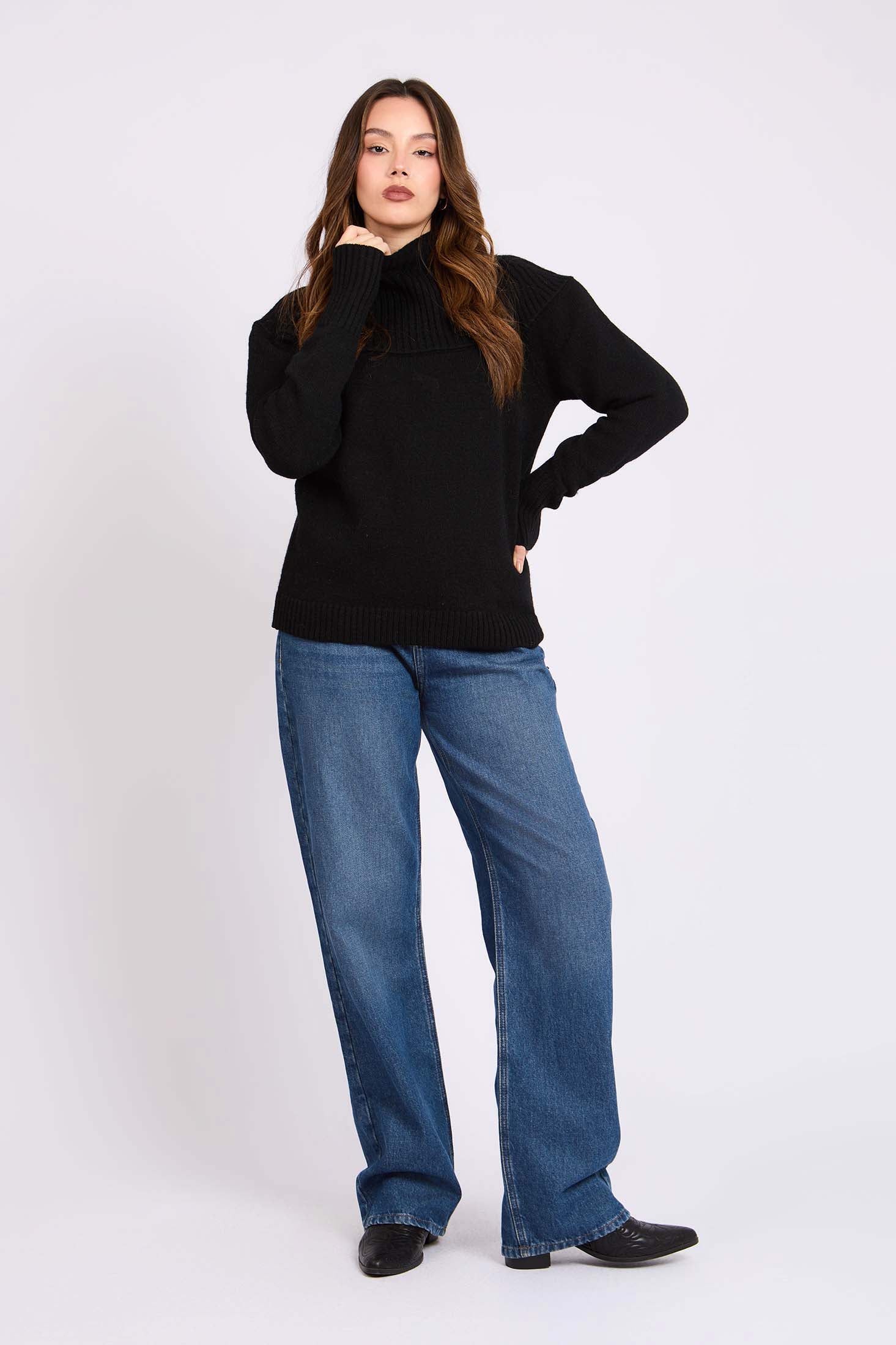 Women Regular Fit Pullover Black