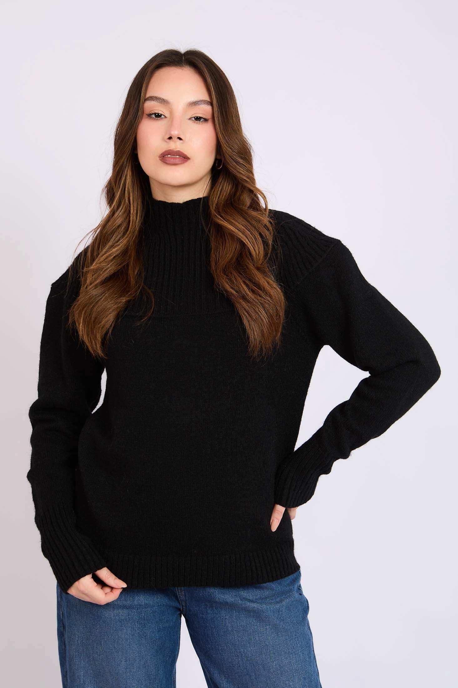 Women Regular Fit Pullover Black