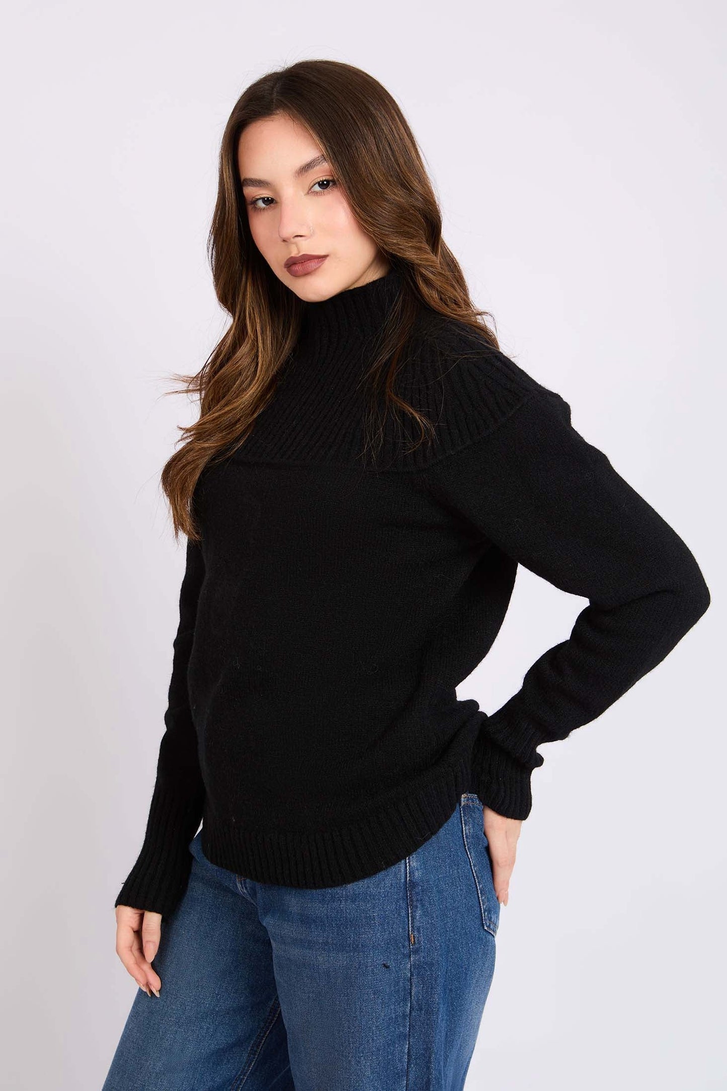 Women Regular Fit Pullover Black