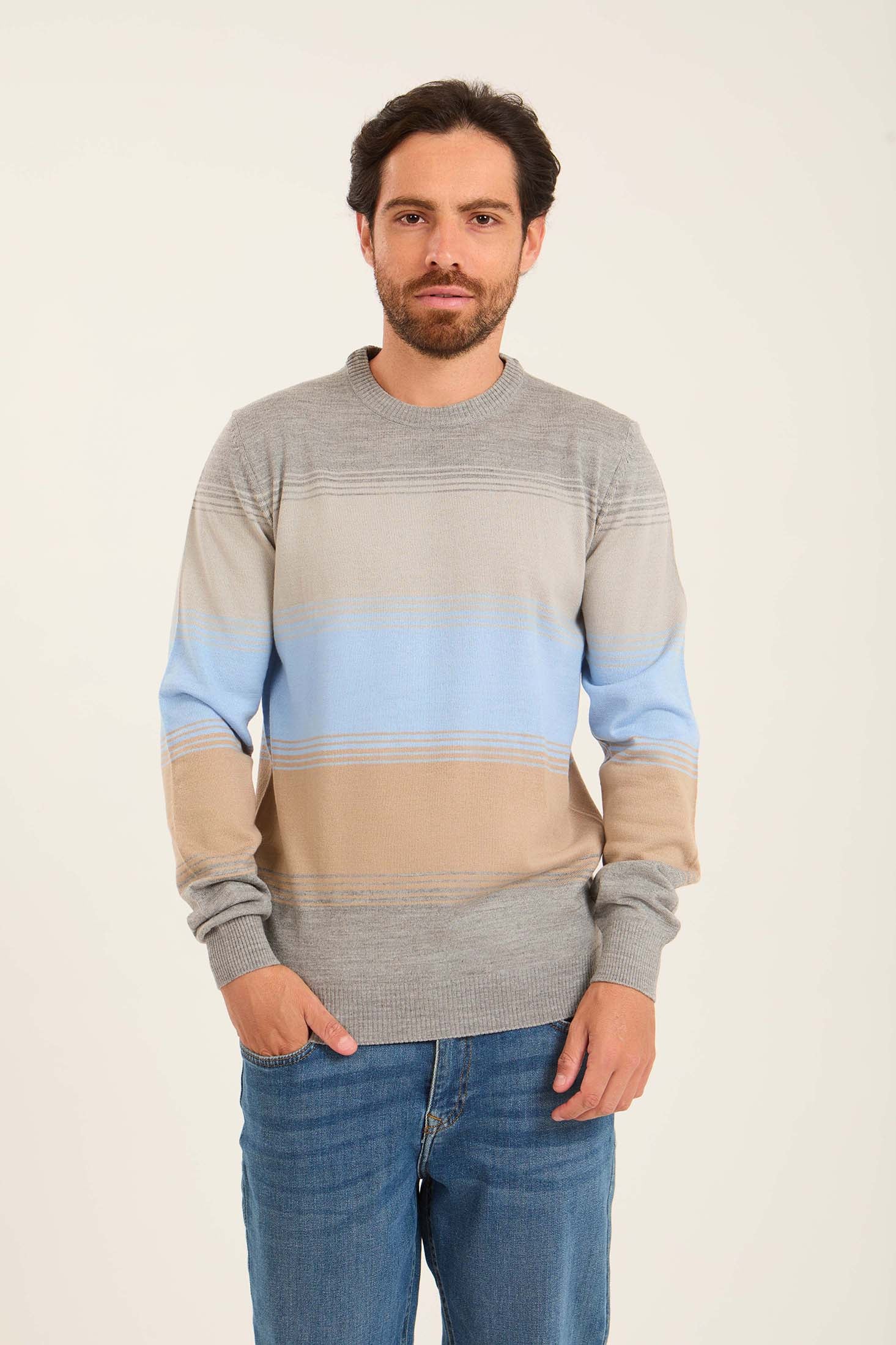 Men Striped Regular Fit Pullover Multicolor