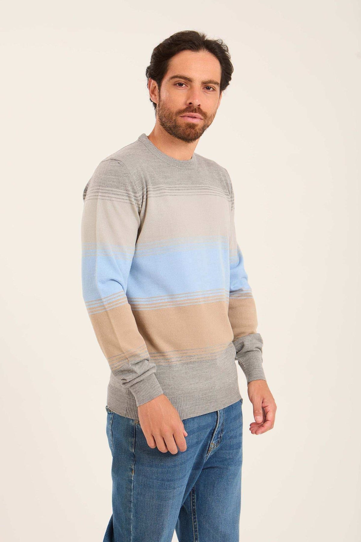 Men Striped Regular Fit Pullover Multicolor