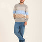 Men Striped Regular Fit Pullover Multicolor