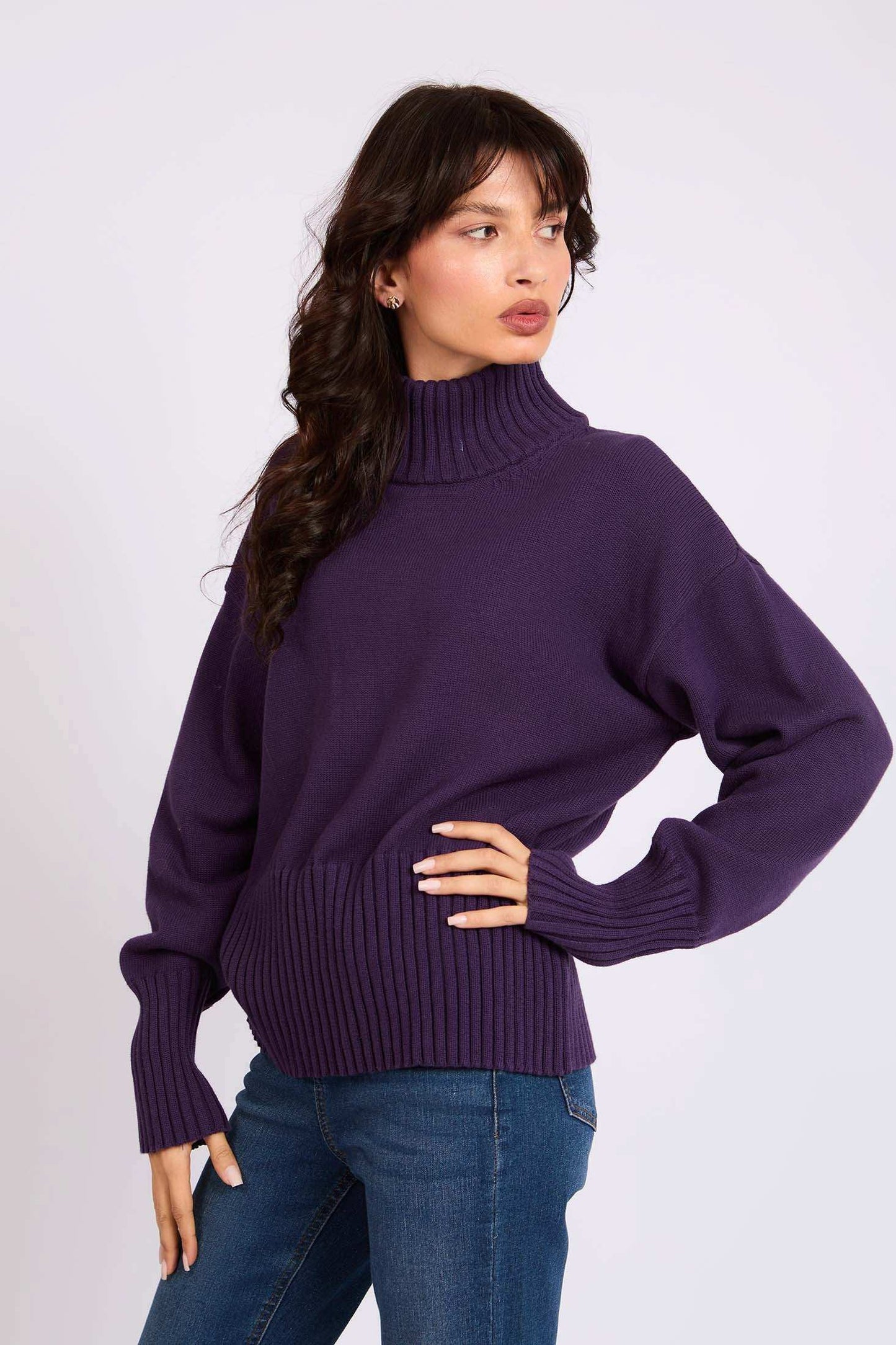 Women Regular Fit Pullover Purple