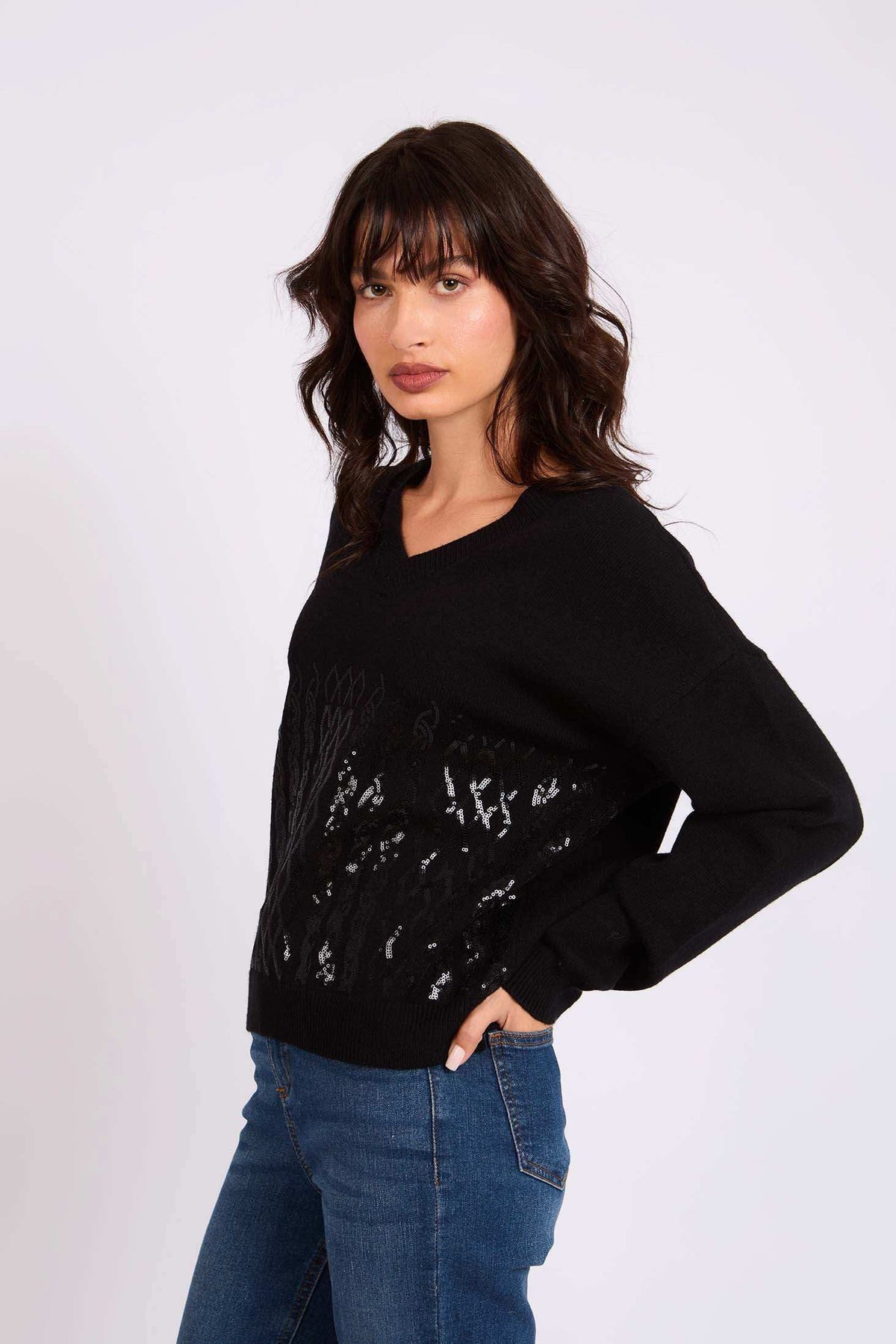 Women Regular Fit Pullover Black