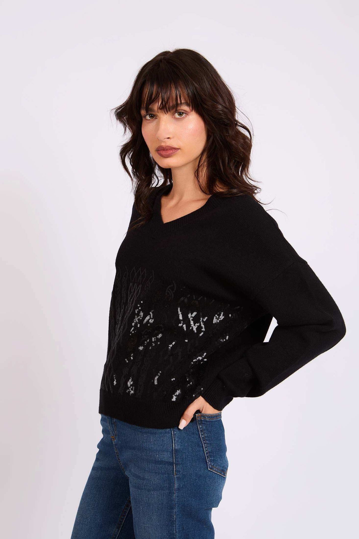 Women Regular Fit Pullover Black