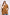 Women Regular Fit Cape Brown