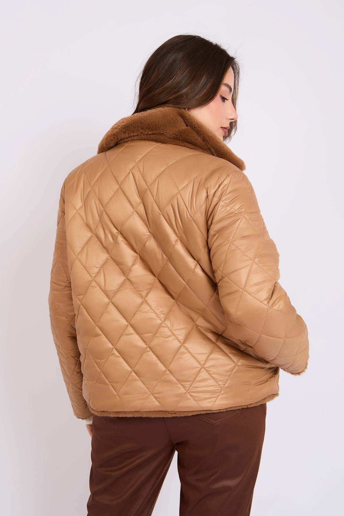 Women Regular Fit Jacket Brown
