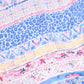 Women Scarf Multicolor