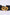 Women Belt Black
