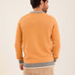 Men Pullover Regular Fit Orange