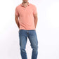 Short Sleeves Solid Polo Shirt