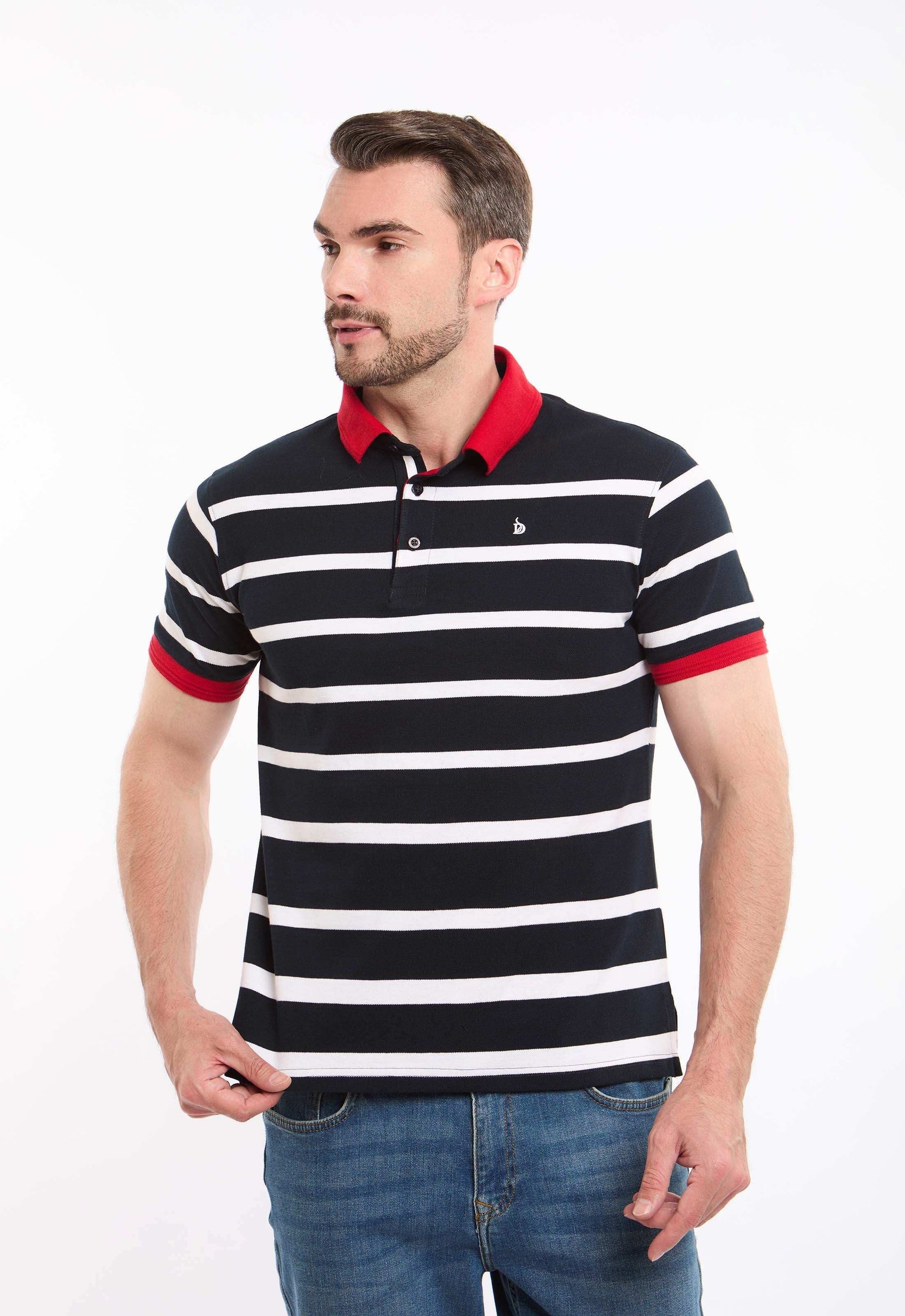 Elegant Striped Polo Shirt with Different Collar