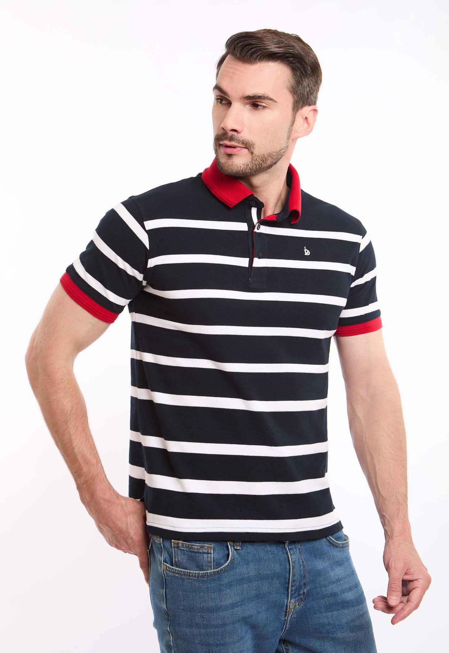 Elegant Striped Polo Shirt with Different Collar