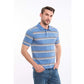 Striped Short Sleeves Elegant Polo Shirt