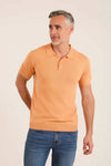 Ribbed Short Sleeves Regular Polo Shirt