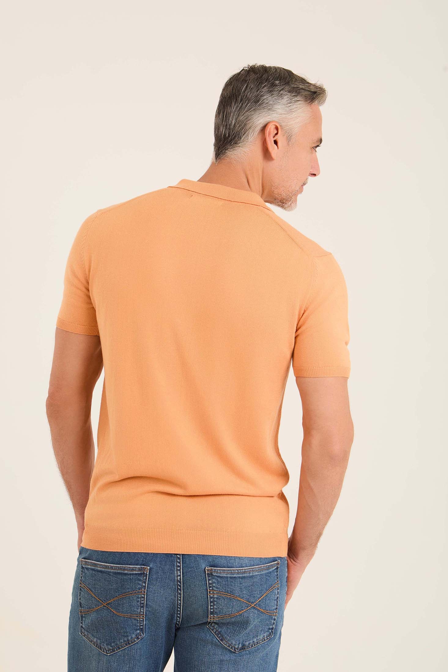Ribbed Short Sleeves Regular Polo Shirt