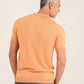 Ribbed Short Sleeves Regular Polo Shirt