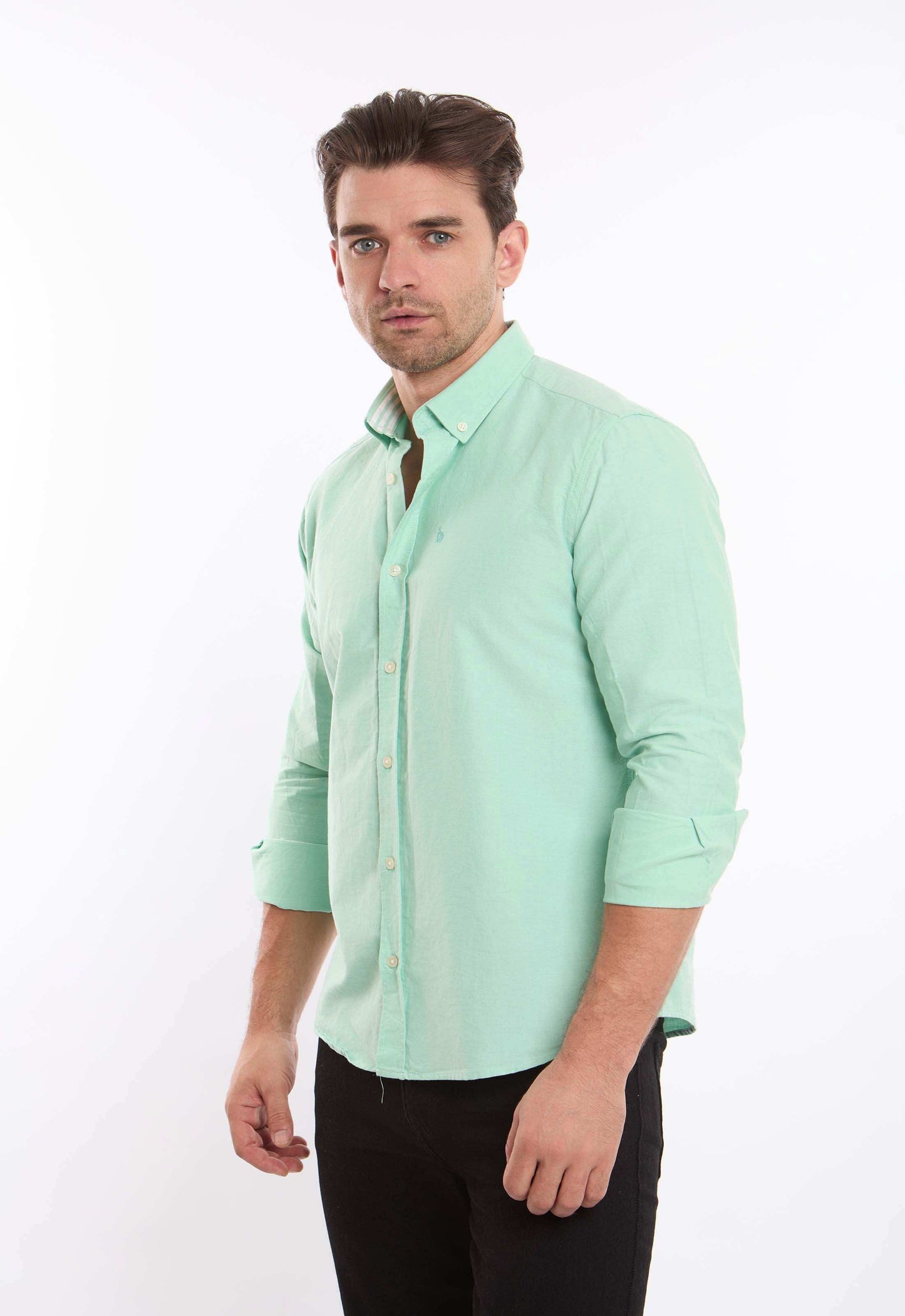 Elegant Solid Long Sleeves Shirt