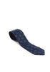 Elegant Bold Paisley Tie
