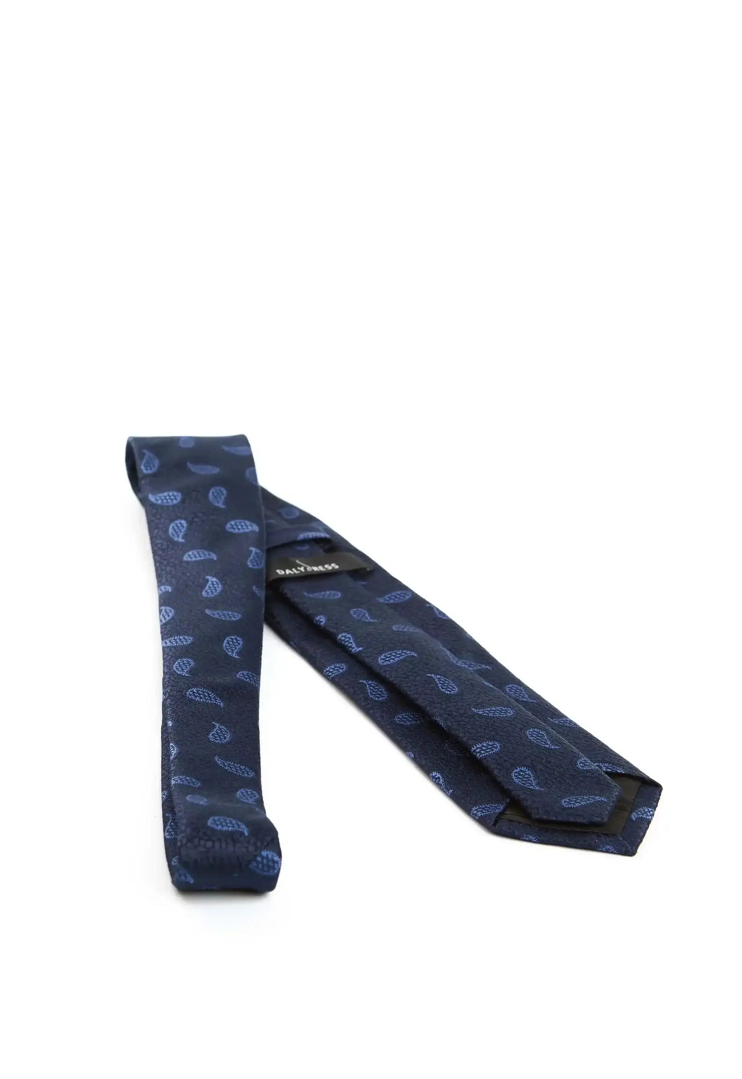 Elegant Bold Paisley Tie