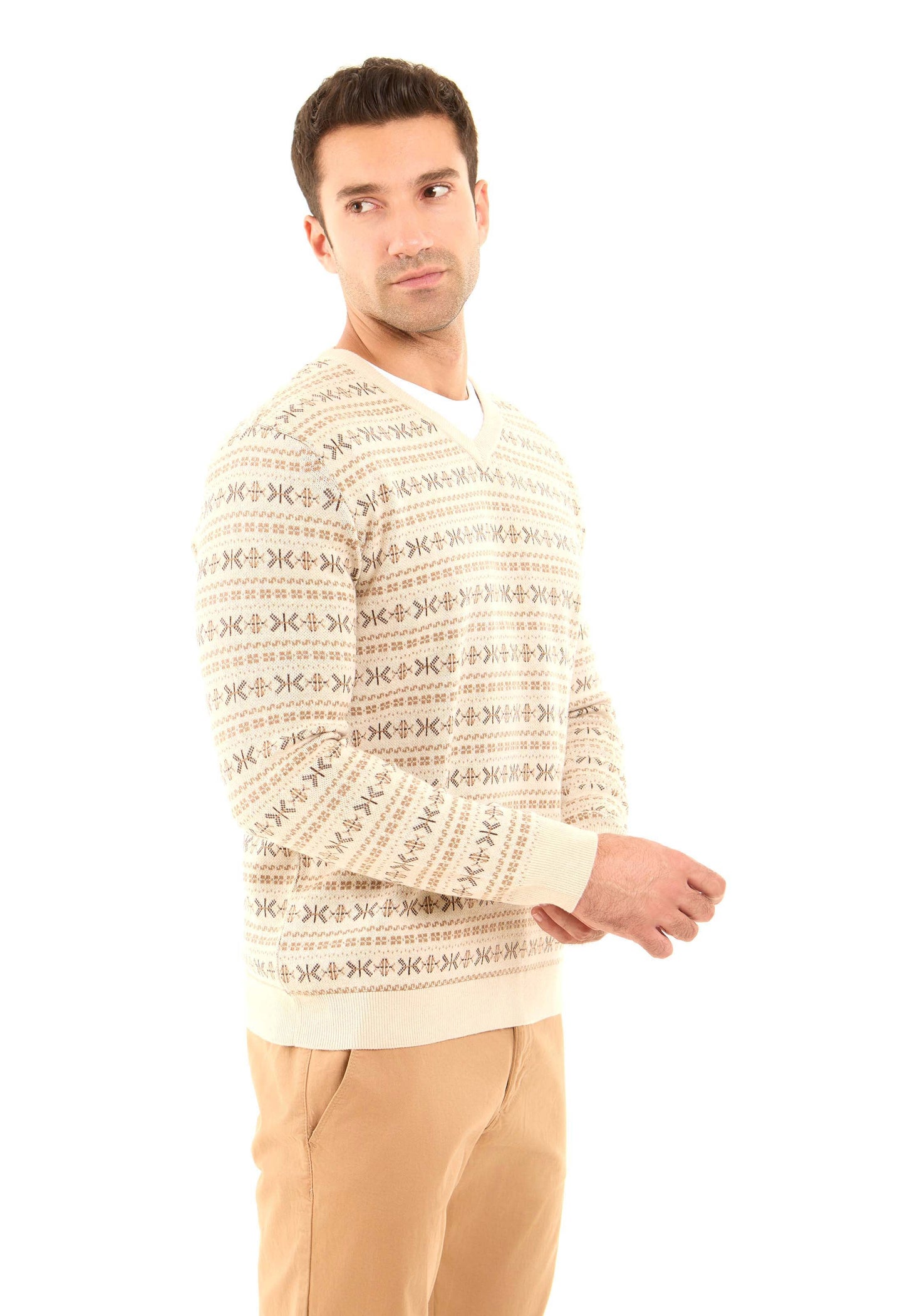 Patterned V-Neck Long Sleeves Pullover