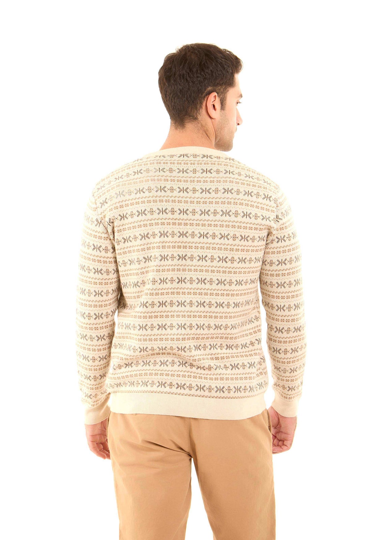 Patterned V-Neck Long Sleeves Pullover