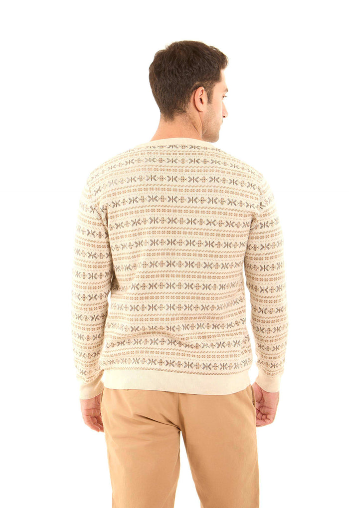 Patterned V-Neck Long Sleeves Pullover