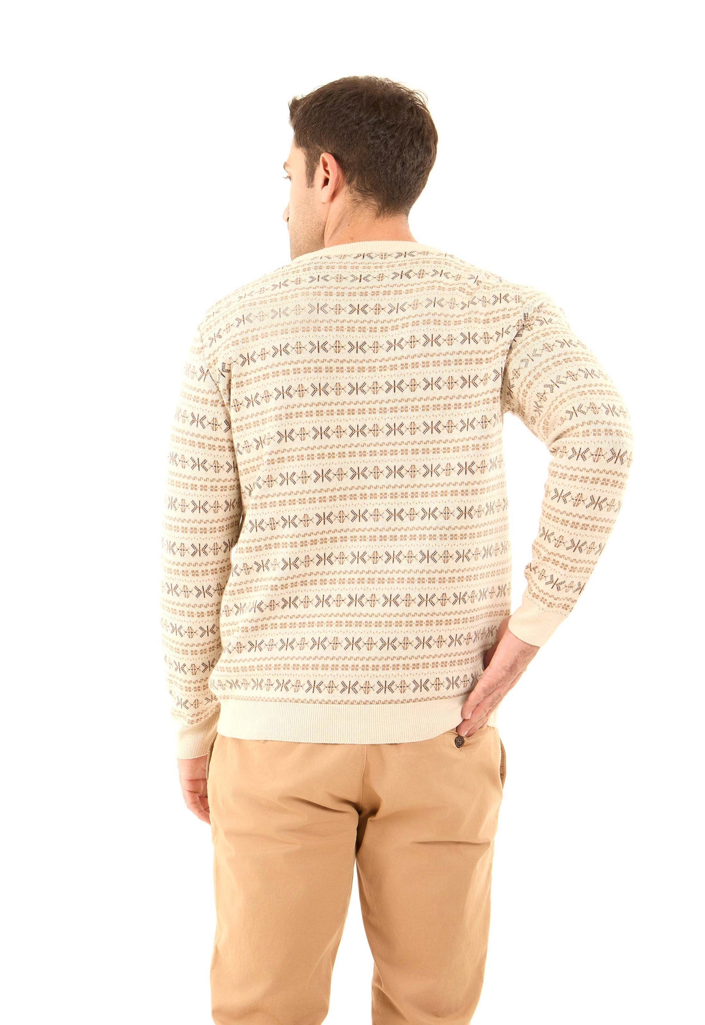 Patterned V-Neck Long Sleeves Pullover