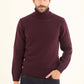 Basic Knitted Pullover with Ribbed Turtle Neck