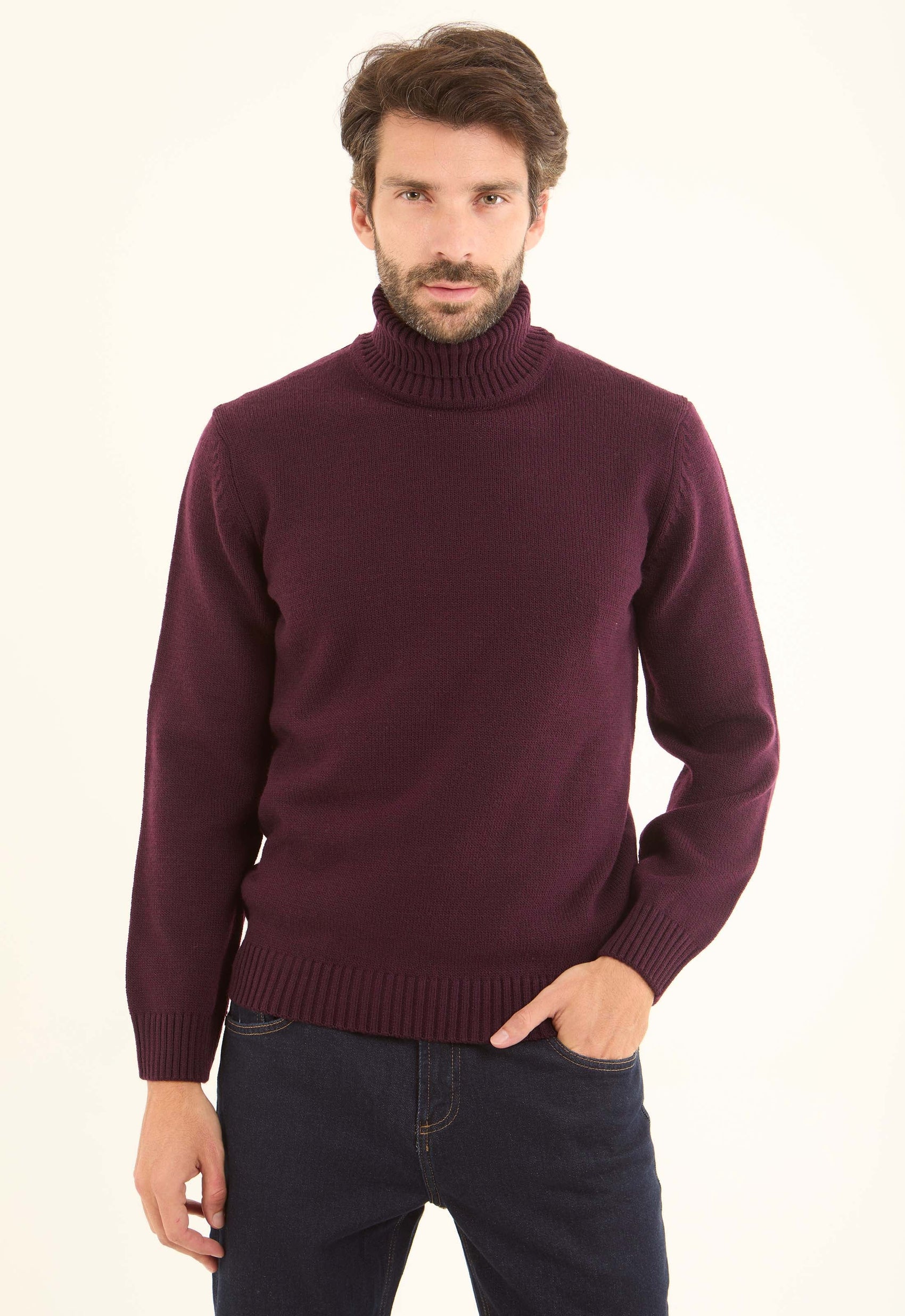 Basic Knitted Pullover with Ribbed Turtle Neck