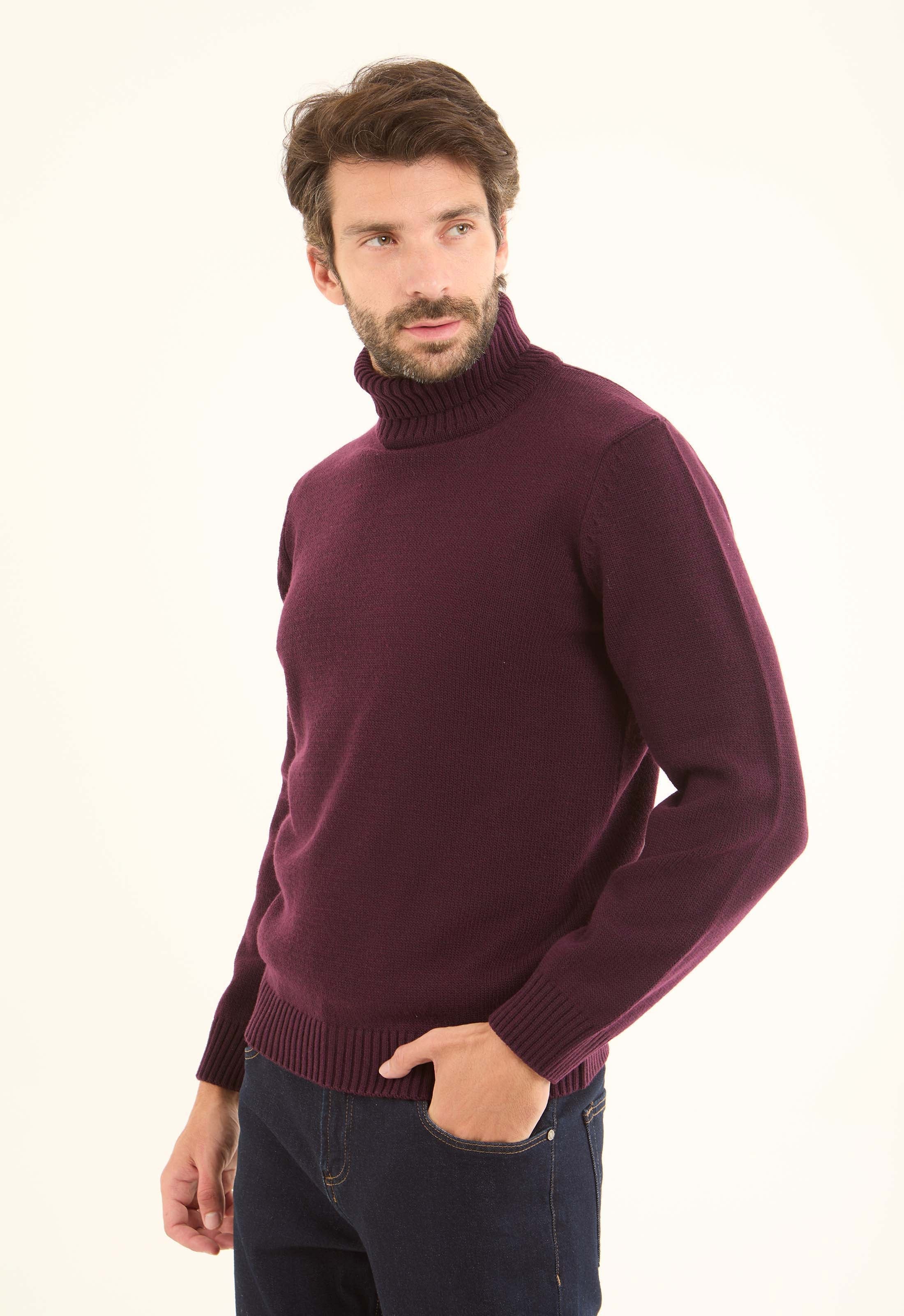 Basic Knitted Pullover with Ribbed Turtle Neck