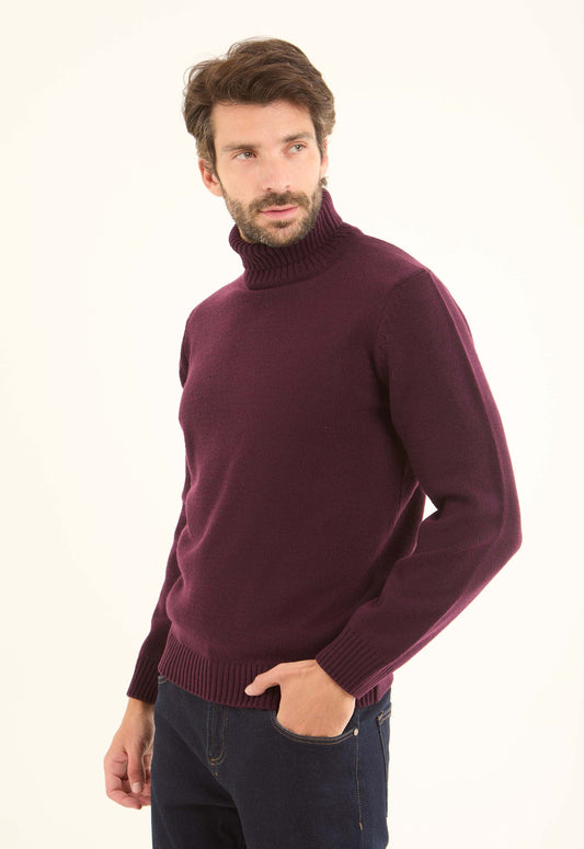 Basic Knitted Pullover with Ribbed Turtle Neck