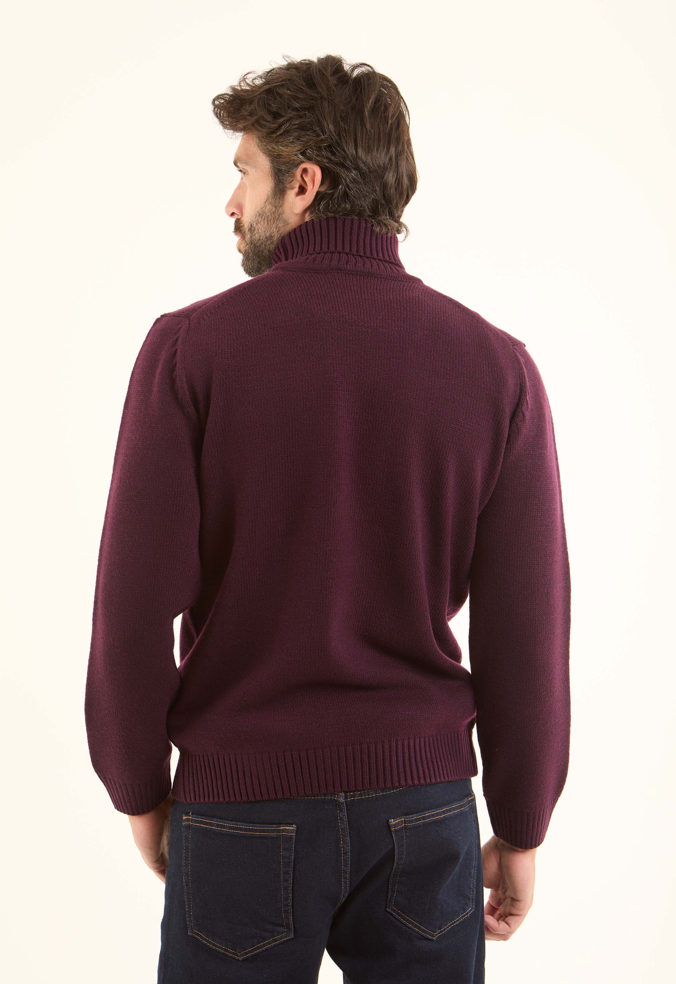 Basic Knitted Pullover with Ribbed Turtle Neck