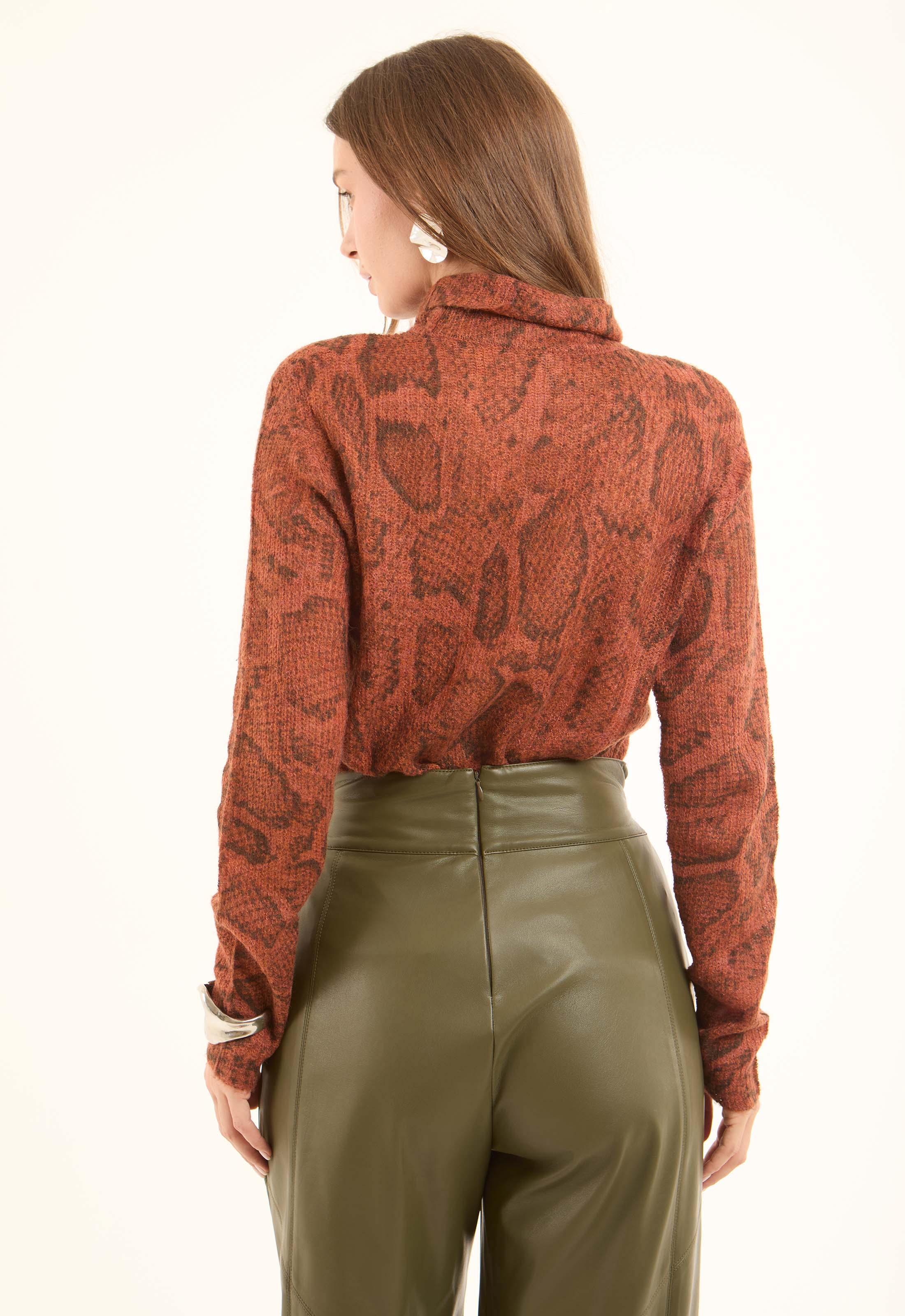 Long Sleeves Regular Fit Pullover with Snake Pattern