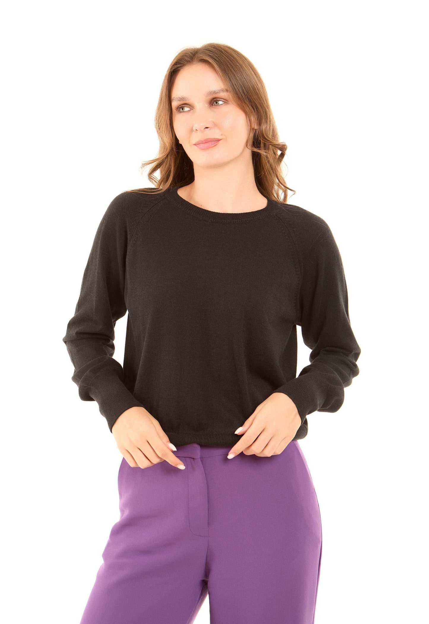 Crew Neck Solid Basic Pullover