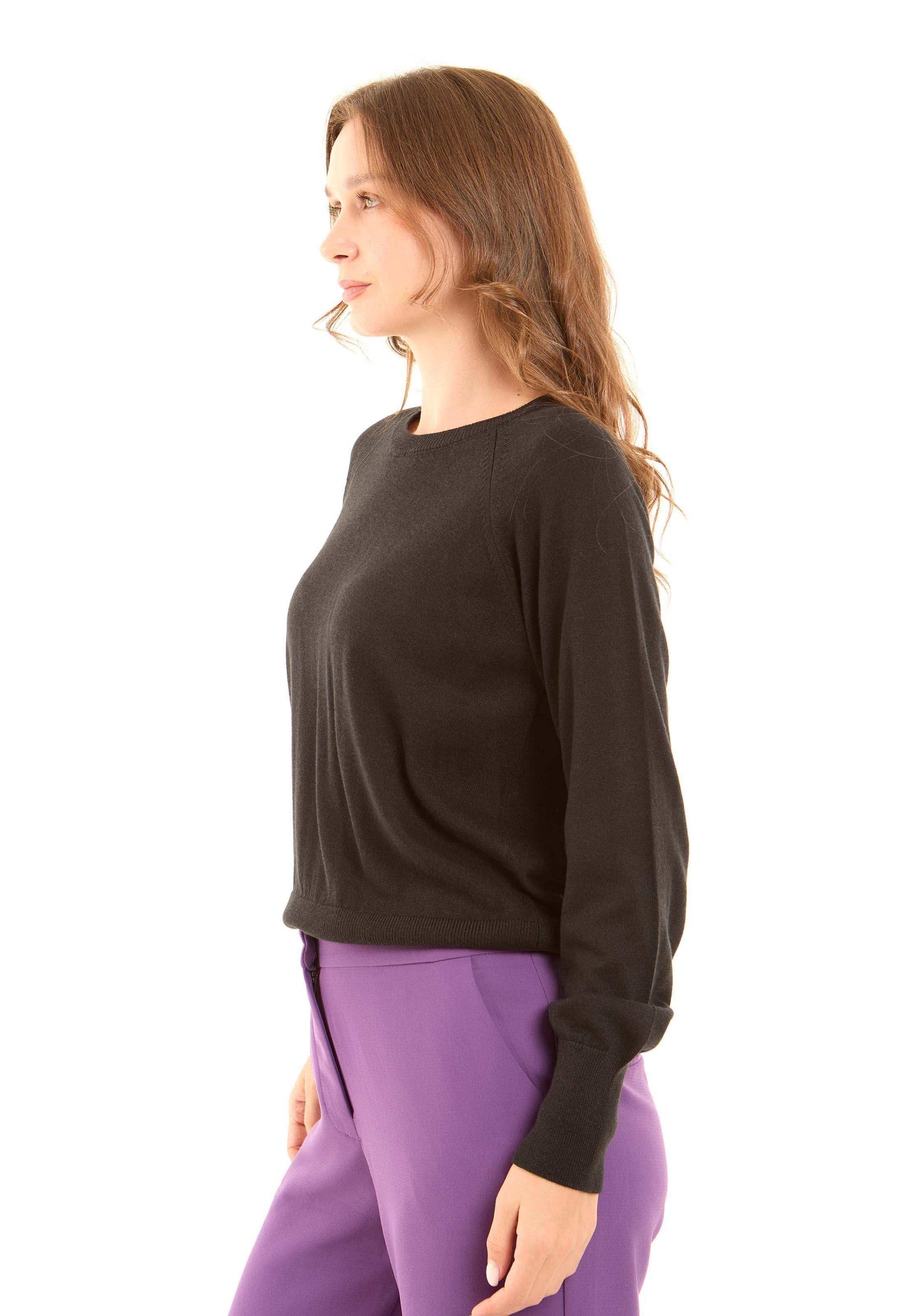 Crew Neck Solid Basic Pullover