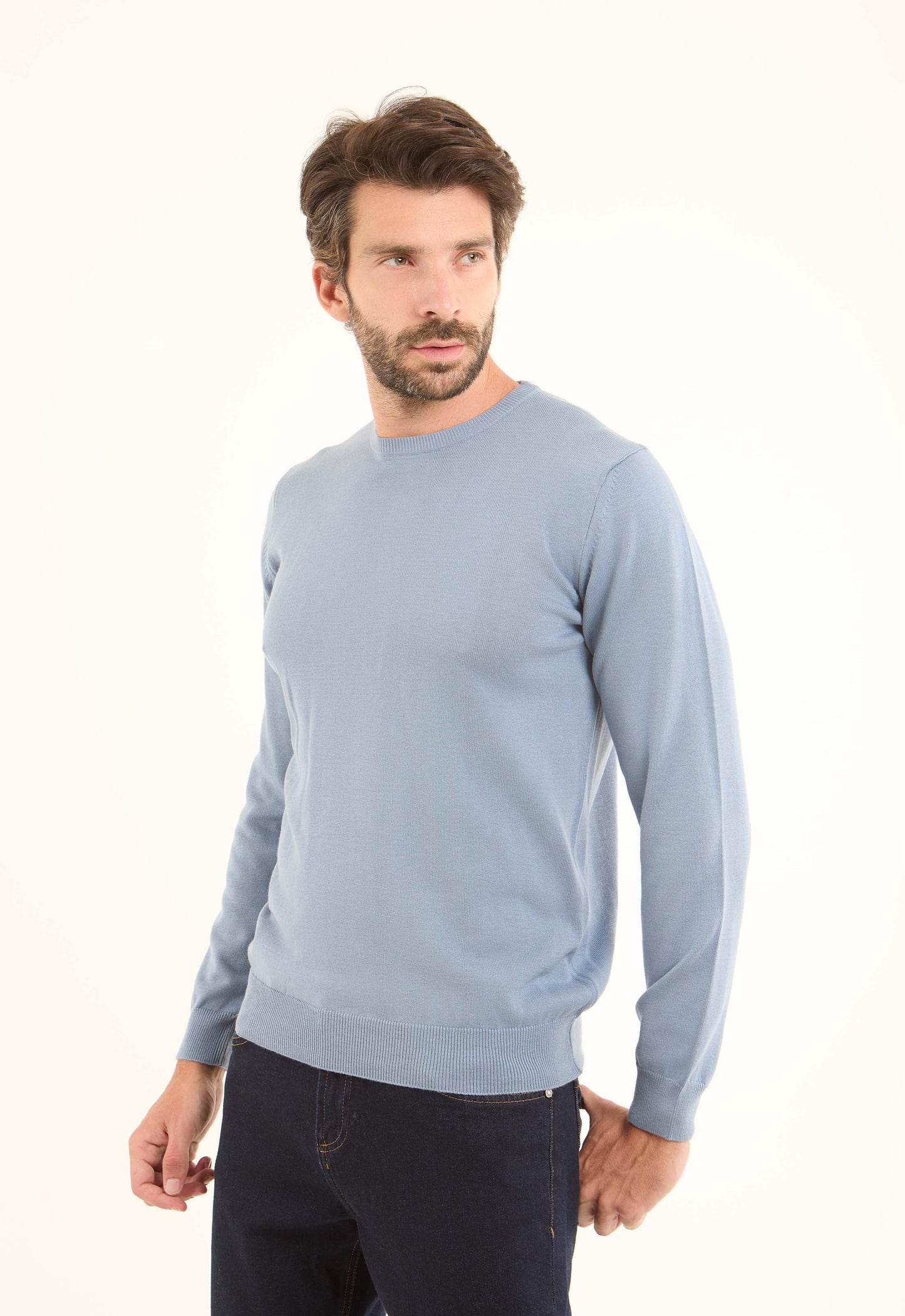 Long Sleeves Solid Basic Pullover