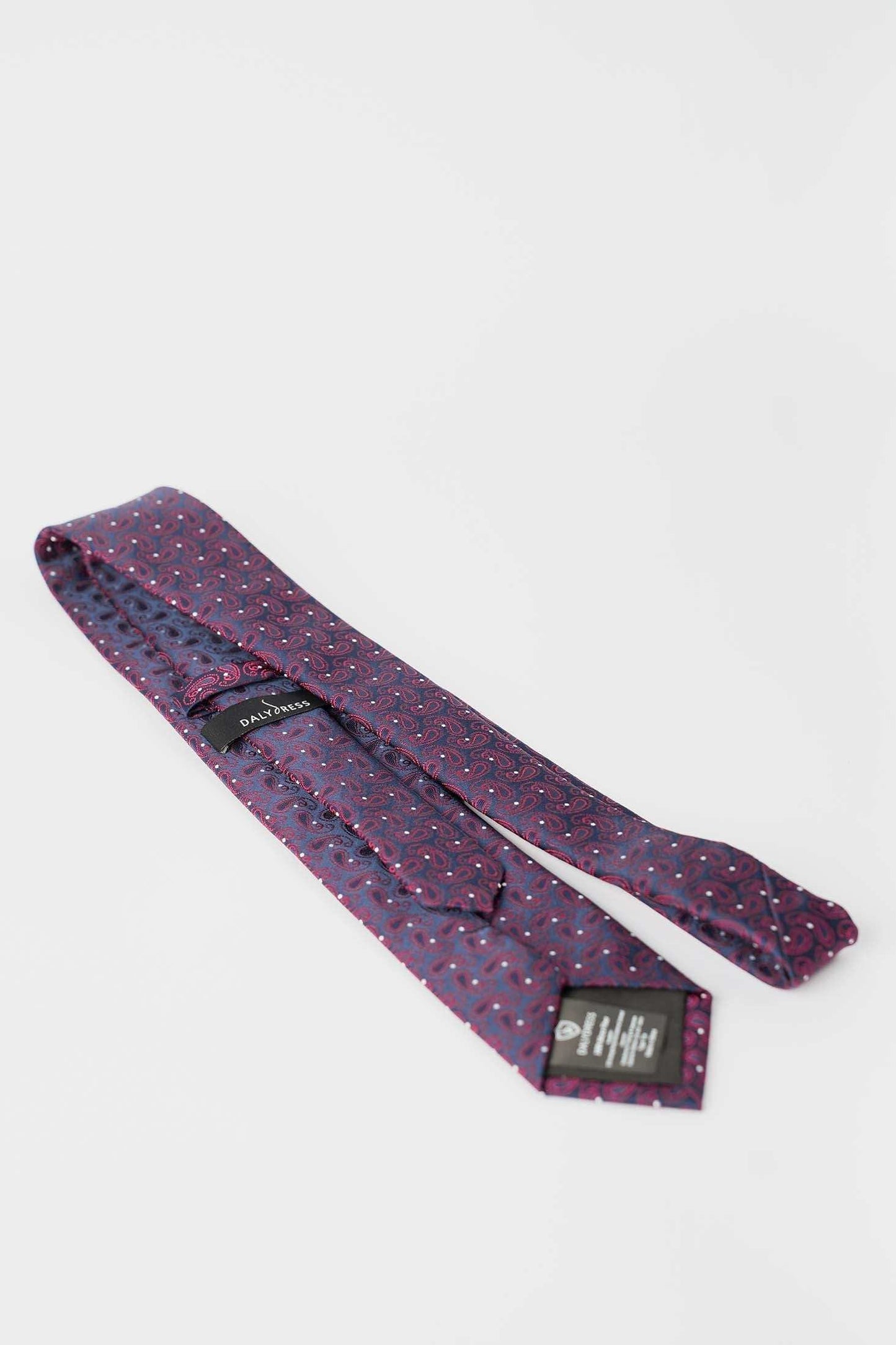 Elegant Tie with Paisley & Dots Pattern