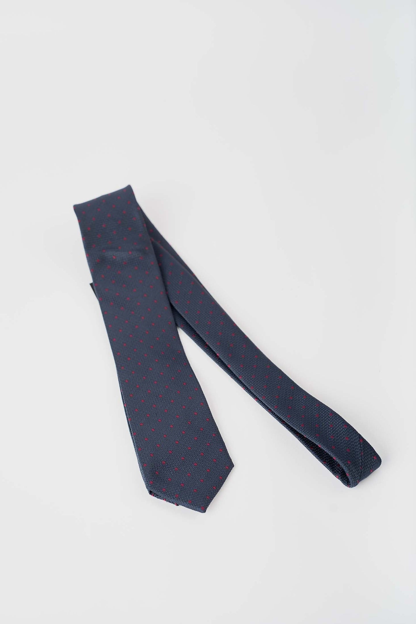 Textured with Dots Neck Tie