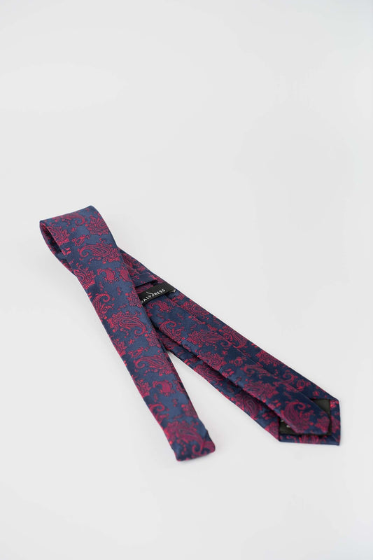 Classic Paisley Neck Tie