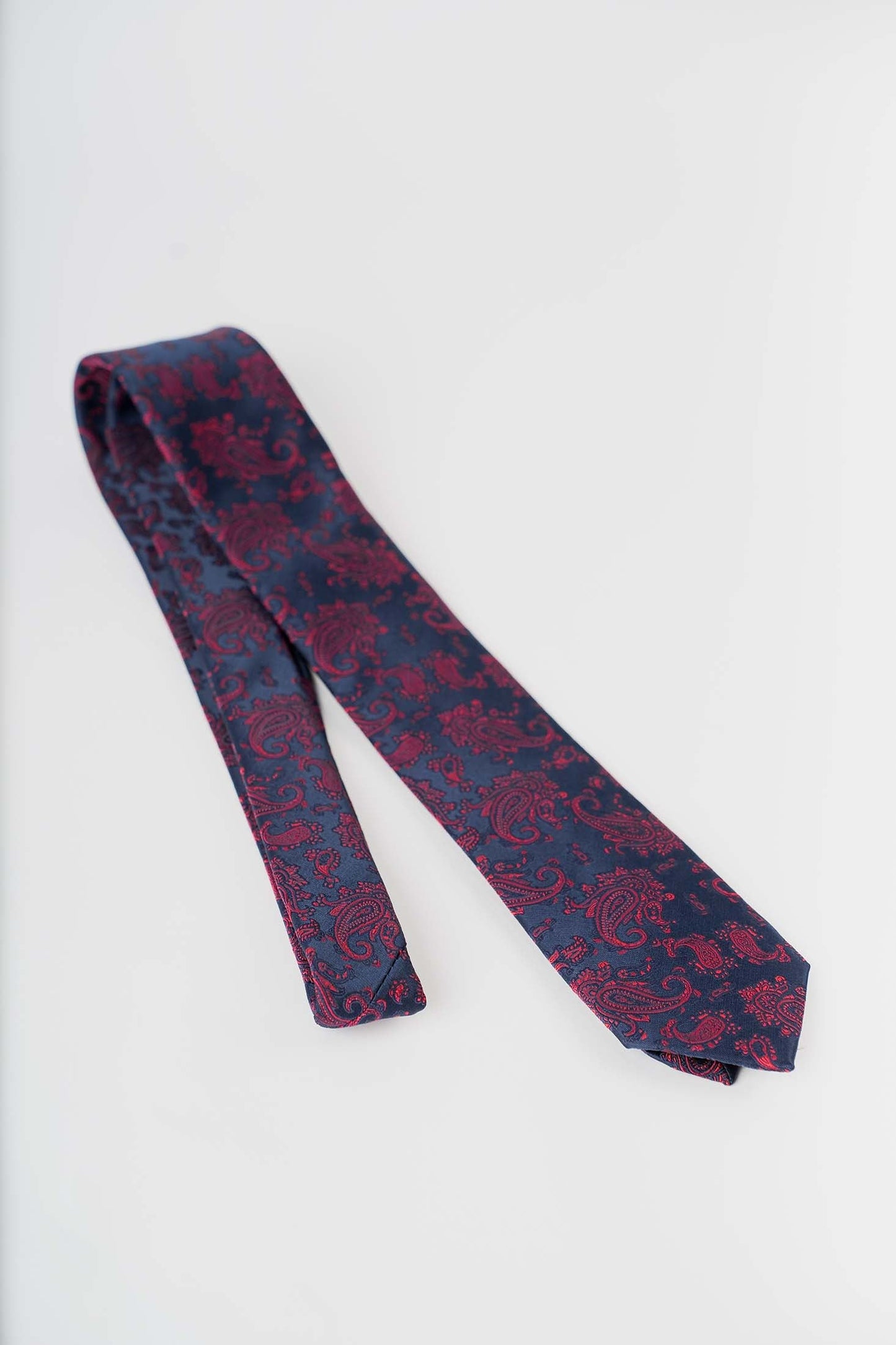 Classic Paisley Neck Tie